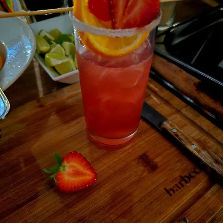 安雷尔博塔尼卡酒店 酒店 4*