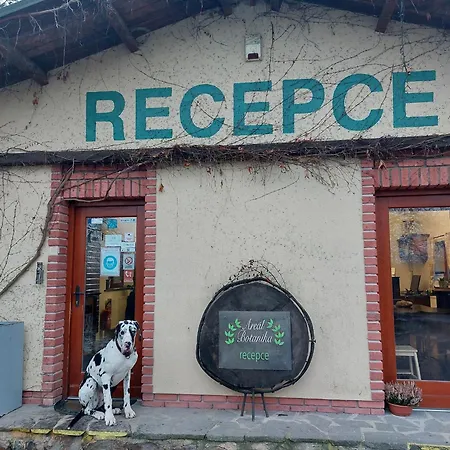 酒店 安雷尔博塔尼卡酒店 Unhošť
