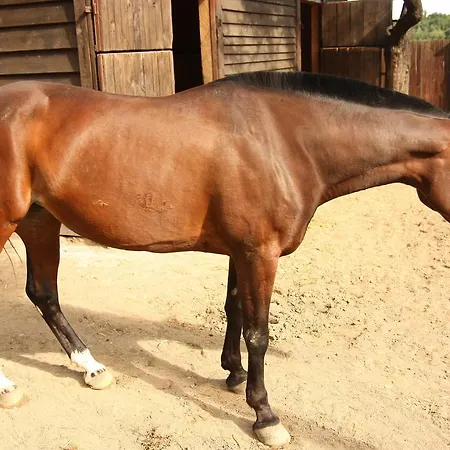 Szálloda Areal Botanika 4*