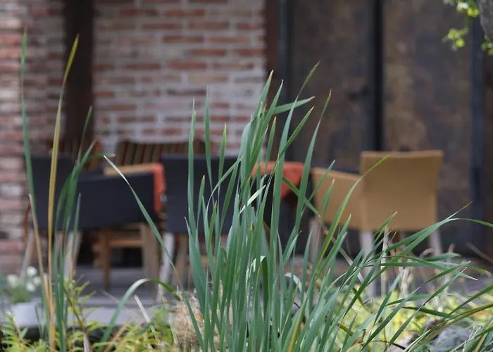 Hotel Areal Botanika